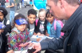 soil-exhibit-at-festival