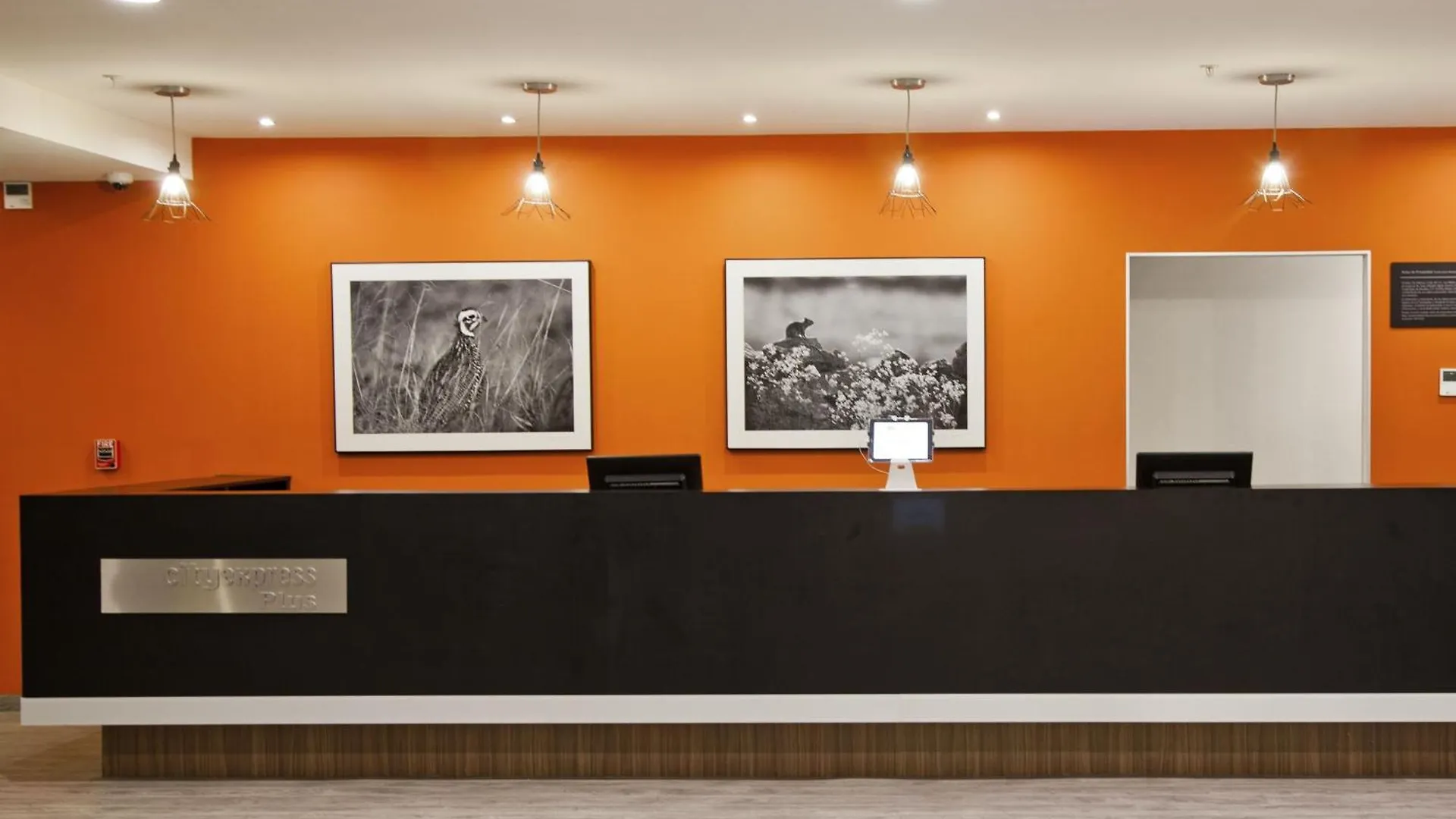 7 Business Hotels Near Mexican History Museum That Deliver