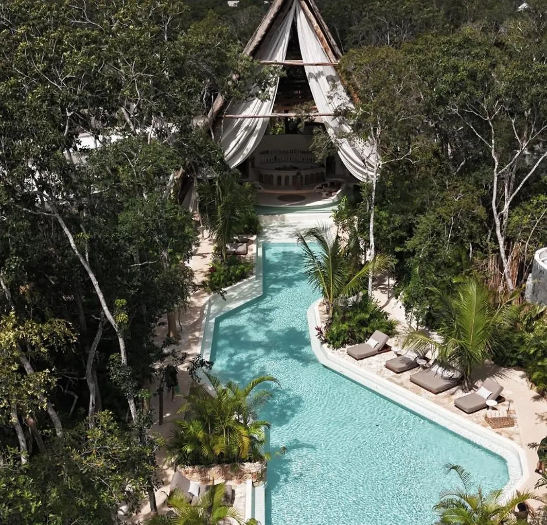 4 Five-Star Hotels Near Cesiak That Deliver in Tulum