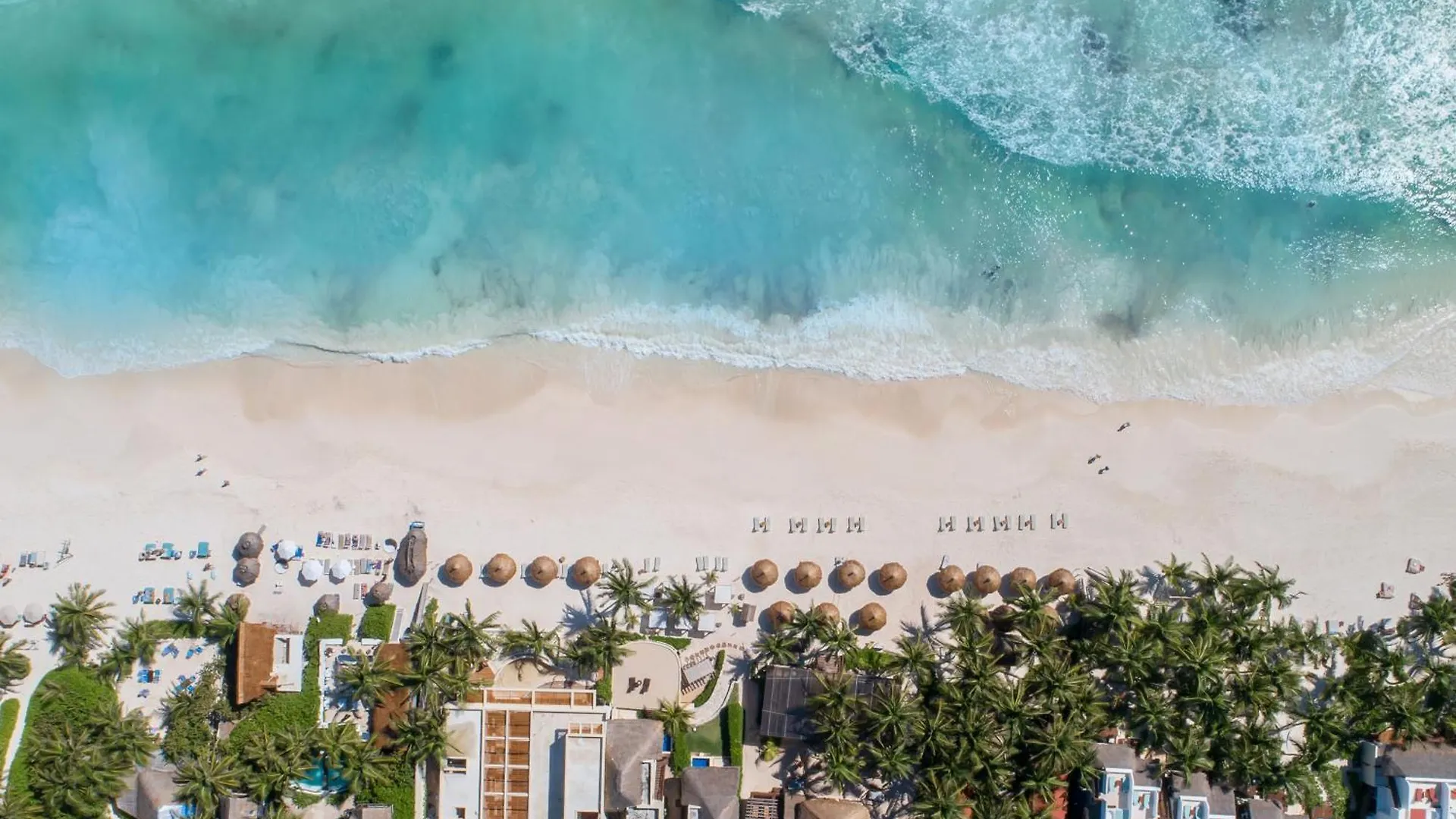 Staying In Zona Hotelera: 4 Exceptional Design Hotels Compared