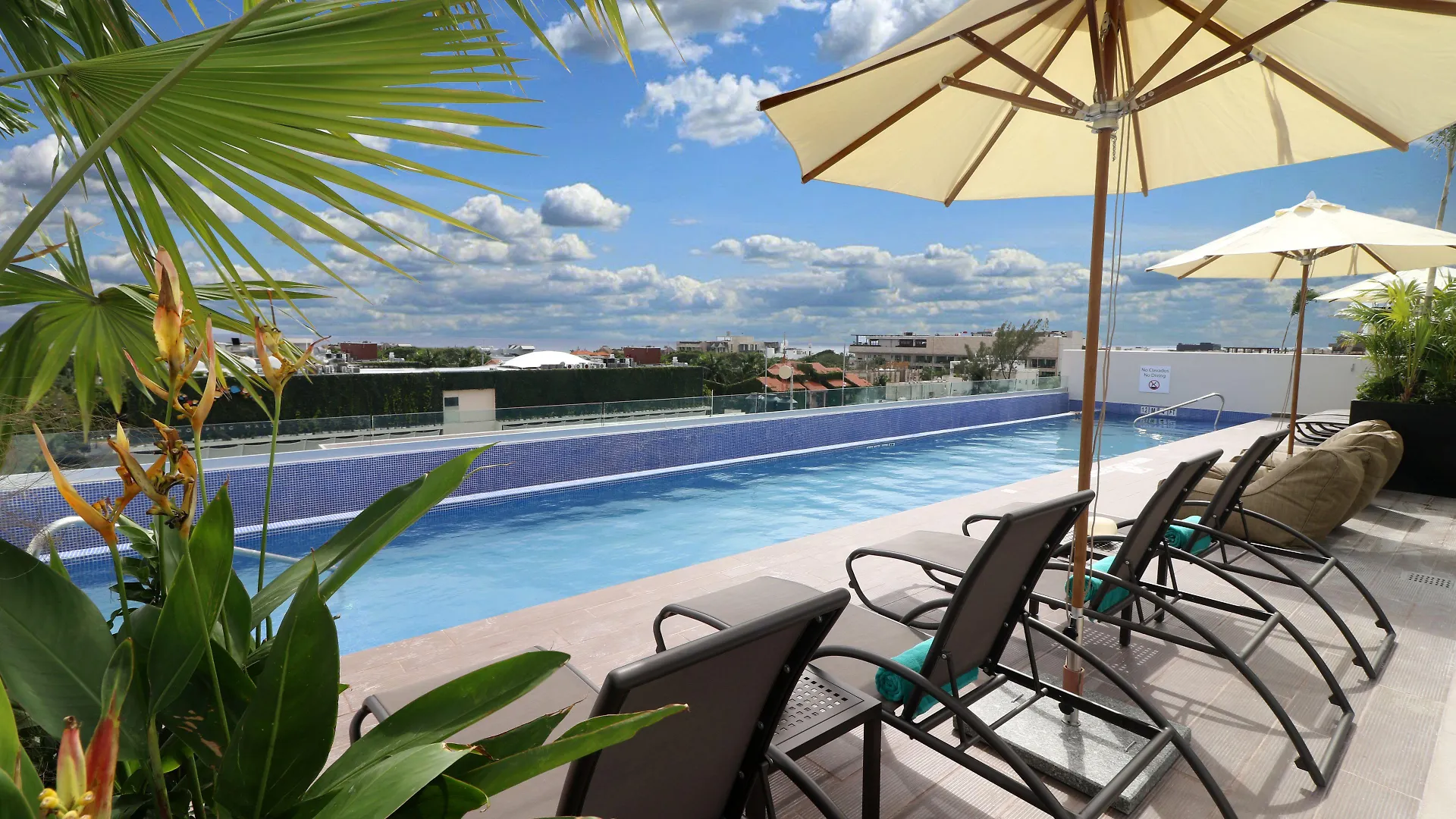 5 Business Hotels Close to Mamita's Beach Club, Playa del Carmen