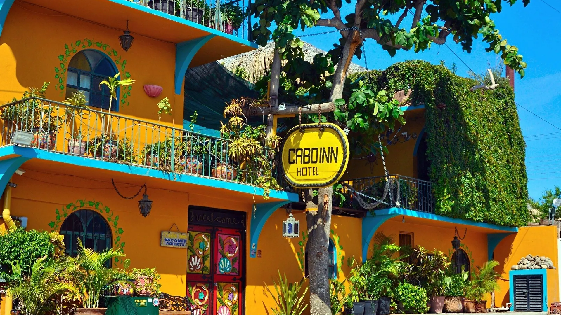 7 Smart Central Hotels Near El Arco Worth Booking