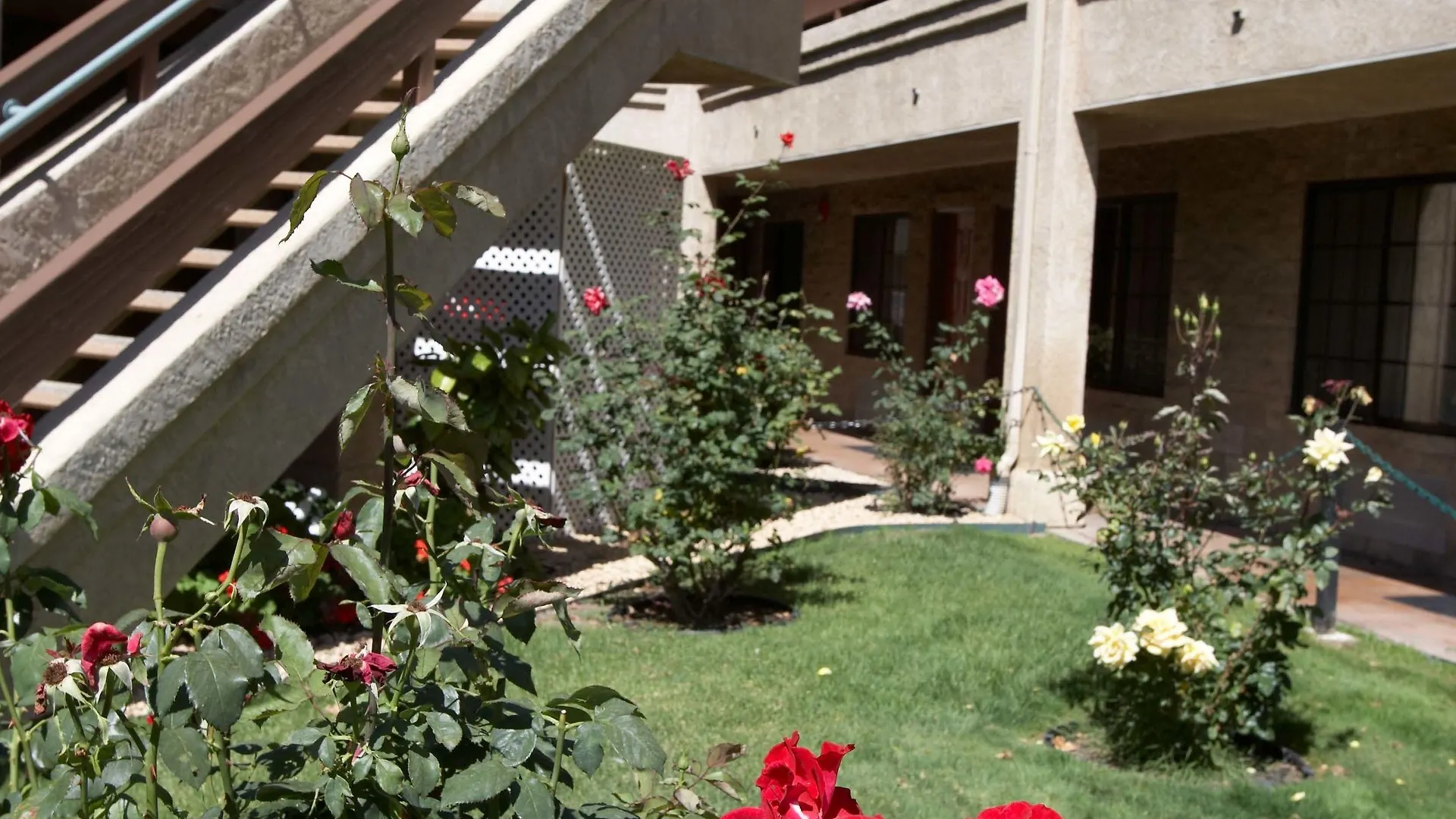 Staying in Los Angeles Metro: 4 Budget Hotels Compared
