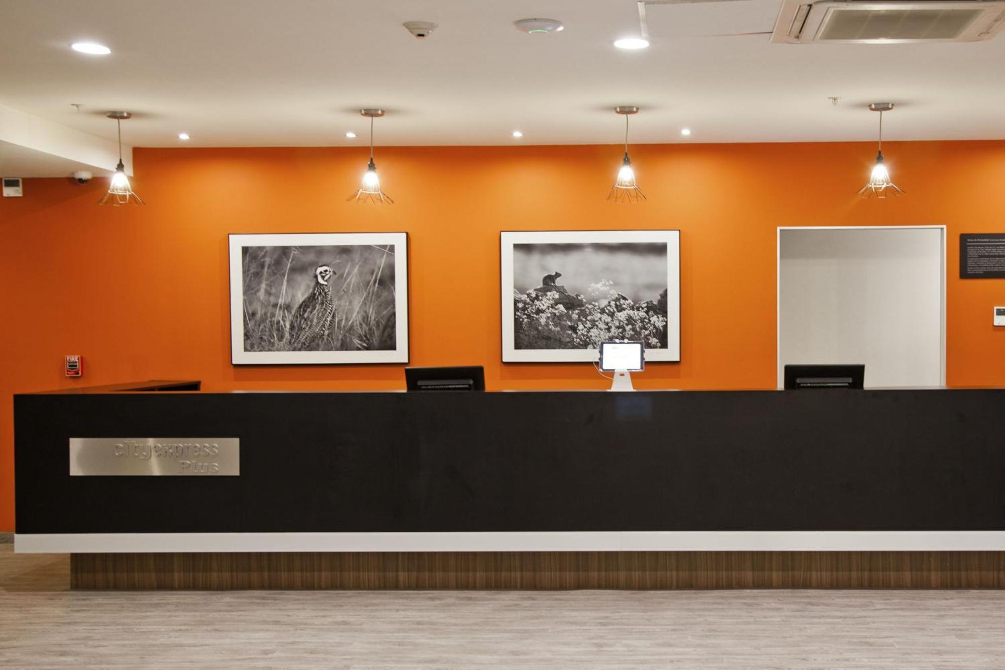 Where to Stay Near Galerias Monterrey: 6 Best Business Hotels