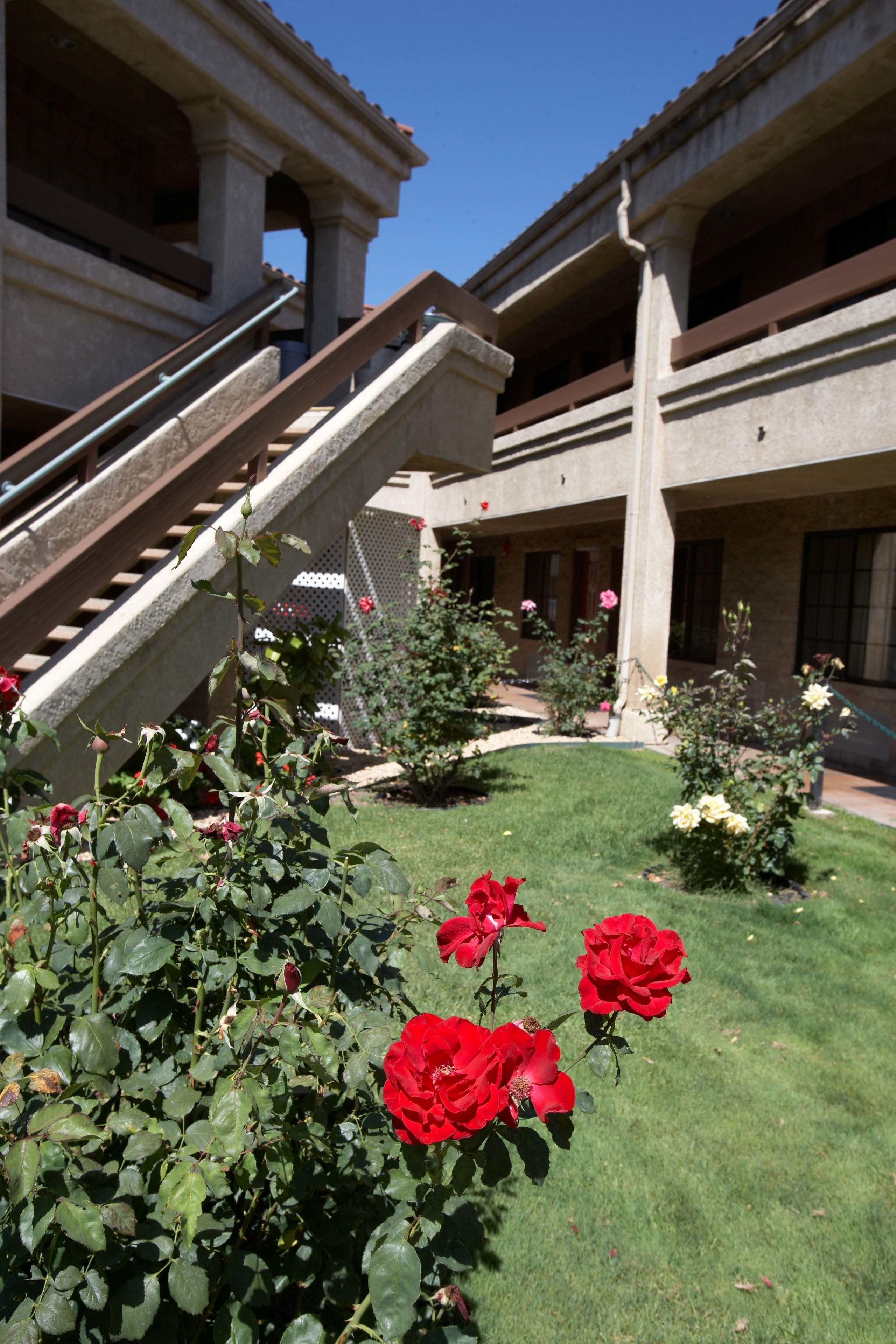 Staying in Los Angeles Metro: 4 Budget Hotels Compared